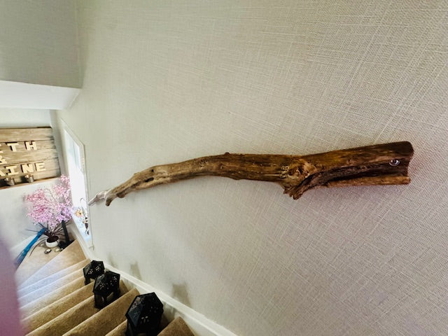 Natural Driftwood Tree Branch Handrail – Sculptural Rustic Wooden Stair Rail